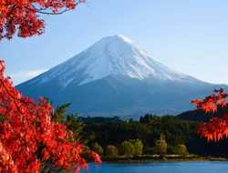 From Tokyo: Mt. Fuji, Lake Kawaguchi, Oshino Hakkai, Ice & Wind Caves Guided Tour with Lunch